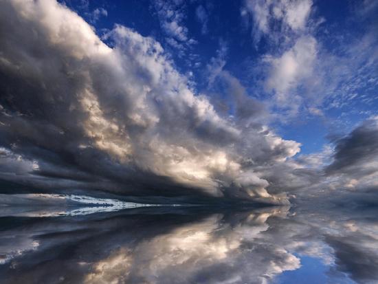 Premium Photographic Print, , large