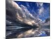 Photographic Print