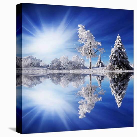 Stretched Canvas Print, , large