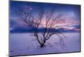 Photographic Print