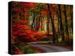 Stretched Canvas Print