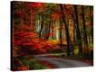 Stretched Canvas Print