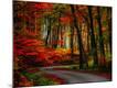 Premium Photographic Print
