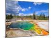Premium Photographic Print