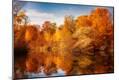 Photographic Print