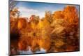 Photographic Print