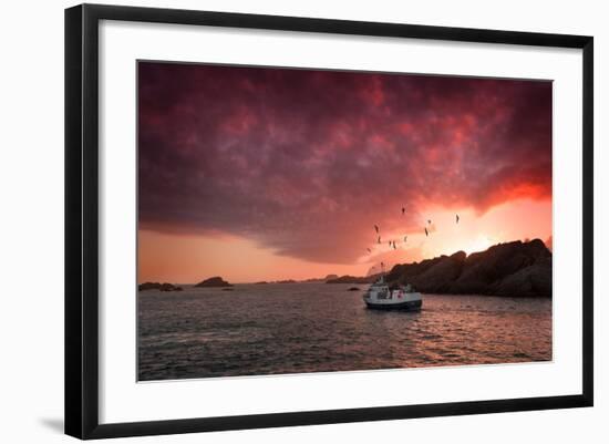 Photographic Print, , large