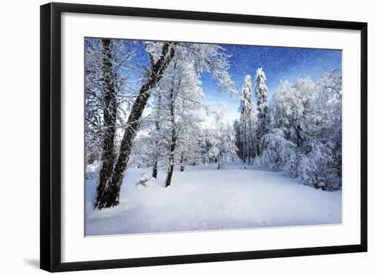 Photographic Print, , large