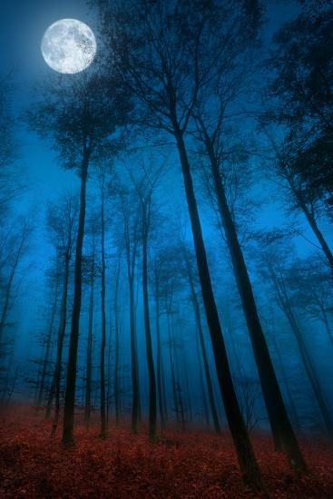 Premium Photographic Print, , large