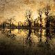 Premium Photographic Print