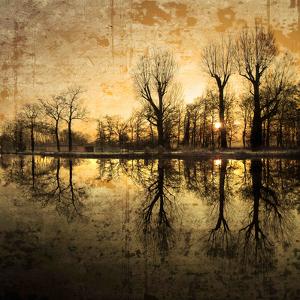 Down Deep into the Pain by Philippe Sainte-Laudy