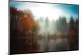 Photographic Print
