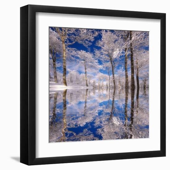 Premium Photographic Print, , large