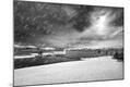 Photographic Print