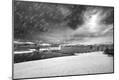 Photographic Print