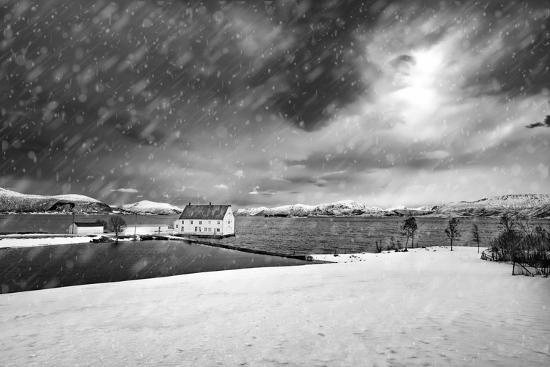 Photographic Print, , large