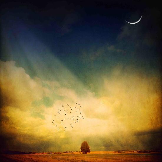 Photographic Print, , large