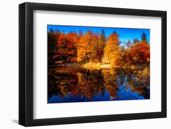 Photographic Print, , large