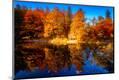 Photographic Print
