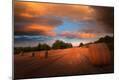 Photographic Print