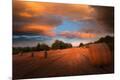 Photographic Print