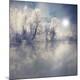 Premium Photographic Print