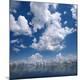 Premium Photographic Print
