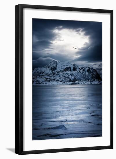 Photographic Print, , large