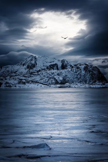 Photographic Print, , large