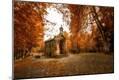 Photographic Print