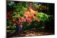 Photographic Print