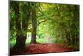 Photographic Print