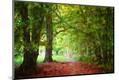 Photographic Print