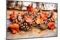 Photographic Print