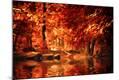 Photographic Print
