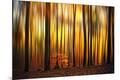 Premium Photographic Print