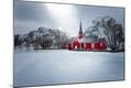 Photographic Print