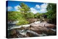 Stretched Canvas Print