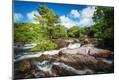 Photographic Print