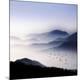 Premium Photographic Print