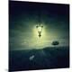 Premium Photographic Print