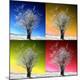 Premium Photographic Print