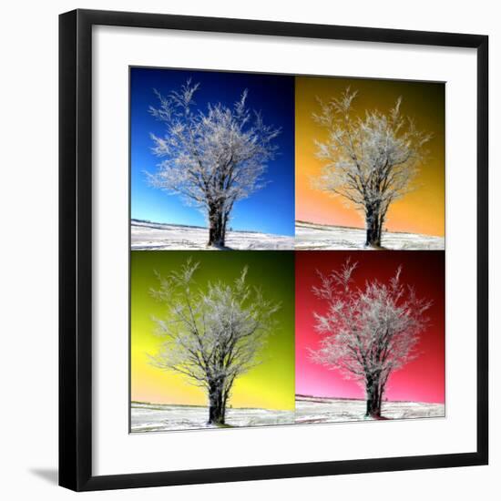 Photographic Print, , large