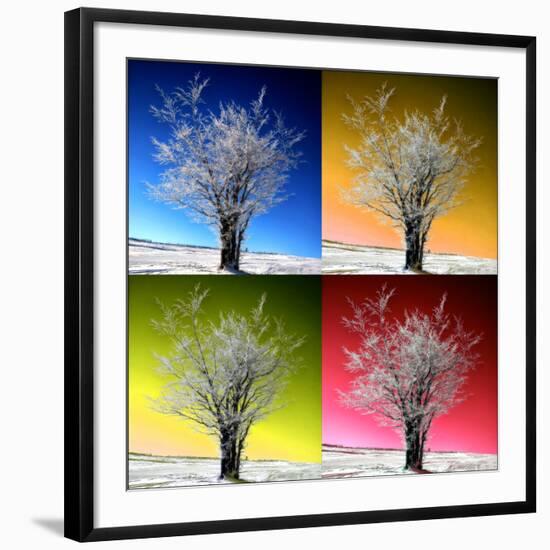 Photographic Print, , large