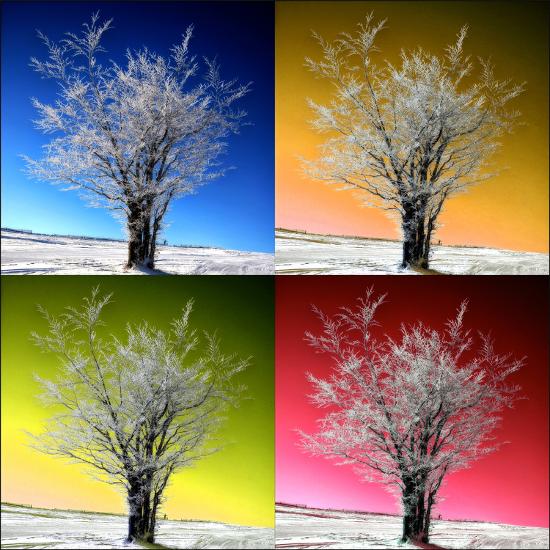 Photographic Print, , large