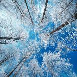Frozen Sky-Philippe Sainte-Laudy-Photographic Print