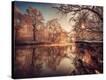 Stretched Canvas Print