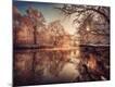 Premium Photographic Print