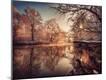 Photographic Print