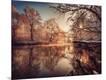 Photographic Print
